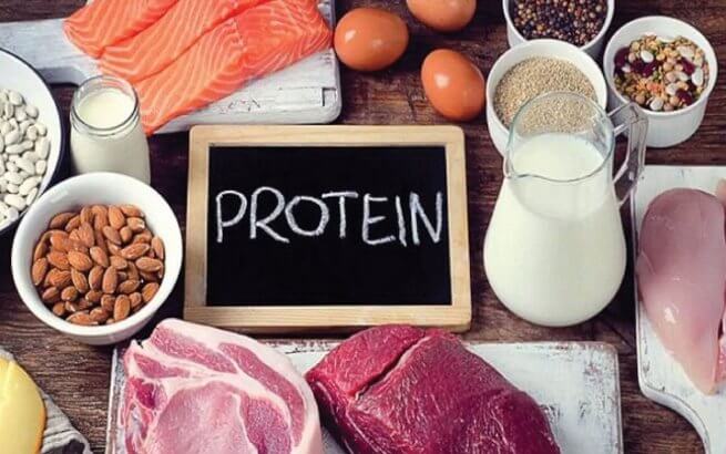 Tầm quan trọng của protein đối với cơ thể con người